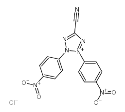 5-Cyano-2,3-bis(4-nitrophenyl)-2H-tetrazolium chloride structure