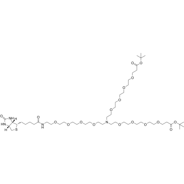 N-(Biotin-PEG4)-N-bis(PEG4-Boc)结构式