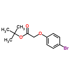2-Methyl-2-propanyl (4-bromophenoxy)acetate结构式