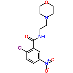 2-Chloro-N-[2-(4-morpholinyl)ethyl]-5-nitrobenzamide Structure