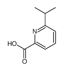 6-ISOPROPYLPICOLINIC ACID picture