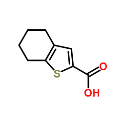 4,5,6,7-Tetrahydrobenzo[b]thiophene-2-carboxylic acid Structure
