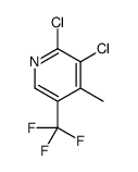 2,3-dichloro-4-methyl-5-(trifluoromethyl)pyridine Structure