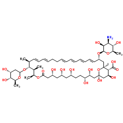 Nystatin A3 structure