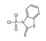 3-dichlorophosphoryl-1,3-benzothiazole-2-thione Structure