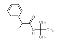 Benzeneacetamide, a-chloro-N-(1,1-dimethylethyl)-结构式