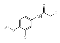 2-chloro-n-(3-chloro-4-methoxyphenyl)acetamide Structure