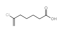 6-CHLORO-6-HEPTENOIC ACID structure