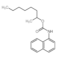 octan-2-yl N-naphthalen-1-ylcarbamate picture