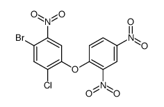 (4-bromo-2-chloro-5-nitro-phenyl)-(2,4-dinitro-phenyl)-ether结构式