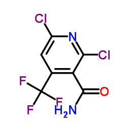 2,6-DICHLORO-4-(TRIFLUOROMETHYL)NICOTINAMIDE图片