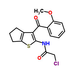 2-Chloro-N-[3-(2-methoxybenzoyl)-5,6-dihydro-4H-cyclopenta[b]thiophen-2-yl]acetamide Structure