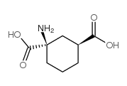 1,3-Cyclohexanedicarboxylicacid,1-amino-,(1R-trans)-(9CI) picture