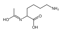 N-acetyl polylysine structure