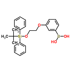 (3-(2-((tert-butyldiphenylsilyl)oxy)ethoxy)phenyl)boronic acid Structure