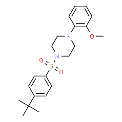 1-((4-(TERT-BUTYL)PHENYL)SULFONYL)-4-(2-METHOXYPHENYL)PIPERAZINE结构式