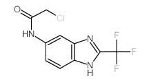 2-Chloro-N-(2-trifluoromethyl-1H-benzoimidazol-5-yl)-acetamide Structure
