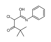 2-chloro-4,4-dimethyl-3-oxo-N-phenylpentanamide Structure