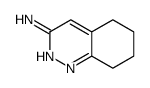 5,6,7,8-tetrahydrocinnolin-3-amine结构式