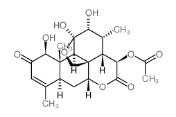 Holacanthone picture