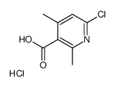 6-chloro-2,4-dimethylpyridine-3-carboxylic acid,hydrochloride Structure