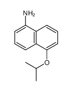 1-Naphthalenamine,5-(1-methylethoxy)-(9CI) picture