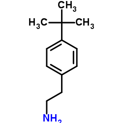 4-叔丁基苯乙胺结构式