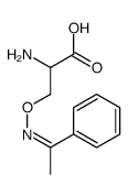 2-amino-3-(1-phenylethylideneamino)oxypropanoic acid Structure