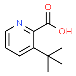 3-(tert-Butyl)picolinic acid Structure