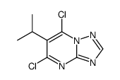 5,7-dichloro-6-propan-2-yl-[1,2,4]triazolo[1,5-a]pyrimidine结构式