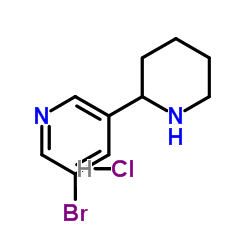 3-Bromo-5-(piperidin-2-yl)pyridine dihydrochloride Structure