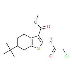 6-TERT-BUTYL-2-(2-CHLORO-ACETYLAMINO)-4,5,6,7-TETRAHYDRO-BENZO[B]THIOPHENE-3-CARBOXYLIC ACID METHYL ESTER Structure