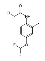 2-CHLORO-N-(4-DIFLUOROMETHOXY-2-METHYL-PHENYL)-ACETAMIDE picture