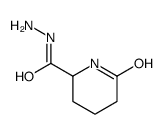 2-Piperidinecarboxylic acid,6-oxo-,hydrazide picture