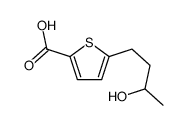 5-(3-hydroxybutyl)thiophene-2-carboxylic acid结构式