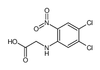 2-(4,5-dichloro-2-nitroanilino)acetic acid Structure
