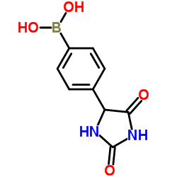 4-(2,4-DIOXOIMIDAZOLIDIN-5-YL)PHENYBORONIC ACID Structure