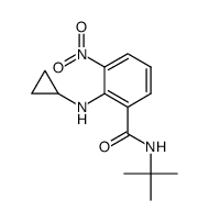 N-tert-butyl-2-(cyclopropylamino)-3-nitrobenzamide结构式