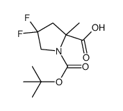 1-(tert-butoxycarbonyl)-4,4-difluoro-2-methylpyrrolidine-2-carboxylic acid structure