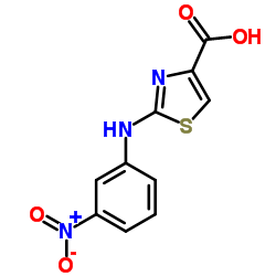 2-(3-NITROPHENYLAMINO)THIAZOLE-4-CARBOXYLICACID Structure