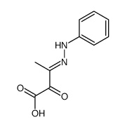 2-oxo-3-(phenylhydrazinylidene)butanoic acid Structure