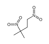 3-methyl-1,3-dinitrobutane Structure