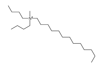 dibutyl-methyl-tridecylazanium Structure