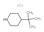 4-(tert-Butyl)piperidine hydrochloride Structure