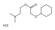 2-(dimethylamino)ethyl 2-cyclohexyloxyacetate,hydrochloride Structure