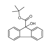 tert-butyl 9-hydroxyfluorene-9-carboxylate Structure