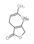 2(5H)-Furanone,4-hydroxy-3-(3-methyl-2-buten-1-yl)- structure