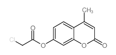 CHLORO-ACETIC ACID 4-METHYL-2-OXO-2H-CHROMEN-7-YL ESTER structure