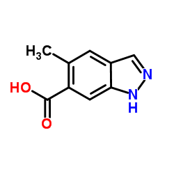 5-Methyl-1H-indazole-6-carboxylic acid Structure