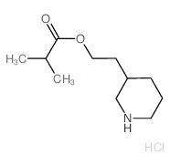 2-(3-Piperidinyl)ethyl 2-methylpropanoate hydrochloride结构式